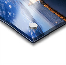 IMG 3720 Acrylic print