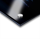 IMG 1493 Acrylic print