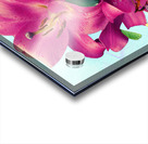  Vibrant lilies Acrylic print