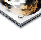 yin yang bear 3 Acrylic print