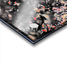  Dark and Red Tree through a Rain Streaked Window Acrylic print