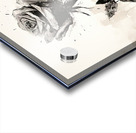 Monochrome: Rose in Perpetuity Acrylic print