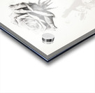 Ochre: Rose in Perpetuity Acrylic print