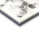 Monochrome Bouquet: Rose in Perpetuity Acrylic print