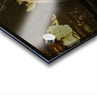 DSC 9580 Acrylic print