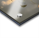 5Alive Acrylic print