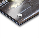 Fara2019 Acrylic print