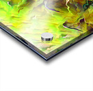 Marmalade Long Grass Acrylic print