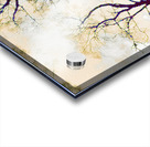 Peachy Birch Trees Perspective Acrylic print