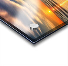 IMG 5941 Acrylic print