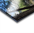 20230526 164842 Acrylic print