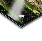 Dry Creek Acrylic print