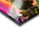 IMG 5956 Acrylic print