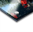 Street Crawler Acrylic print