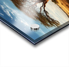 mouhty a photo showing the savannah of Africa fc1 Acrylic print