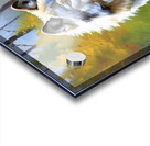 IMG 6008 Acrylic print