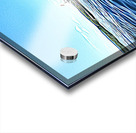 Psychedelic Boat Acrylic print