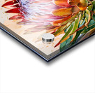 Protea Acrylic print