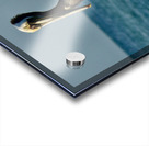 Pelican ~ on cement pylon Anna Maria Island Acrylic print