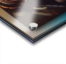 Native Princess Acrylic print