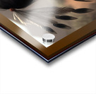 Young Chief Acrylic print