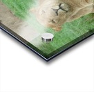 The Queen Acrylic print