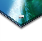 Hang Ten  Acrylic print