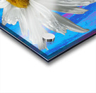  White Daises on Abstract Coloured Heatwave Background Acrylic print