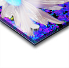 Coloured Daisy Flower with an Abstract Background Acrylic print