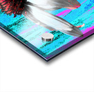 Poster Echinacea Flower  on a Colourful Background Acrylic print