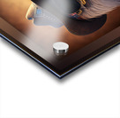 Patriotic Eagle Acrylic print