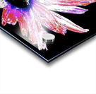 Red and White Distressed Daisy Flower on a Black Background Acrylic print