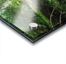 Dry Creek II Acrylic print