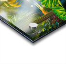 Naples Botanical Gardens Lotus Pond Acrylic print