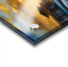 IMG 6588 Acrylic print