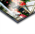 Give Your Love Roses - in Paris Acrylic print