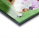 Bulldog Acrylic print