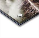 Mt. Washington 4 Acrylic print