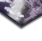 Mt. Washington 3 B&W Acrylic print