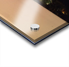 Divisadero Acrylic print