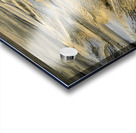 LaJollaGold Acrylic print