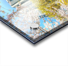 John Roberts Library Cherry Trees Acrylic print