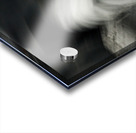 ChatSpin Acrylic print