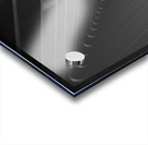 CalaMILMOA Acrylic print