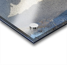 RoadWarrior Acrylic print