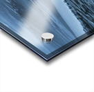 ChatPond2 Acrylic print