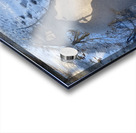 Winterwalk2 Acrylic print