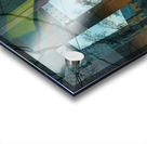 MuseumWalkway Acrylic print