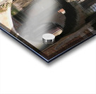 Venice  Acrylic print