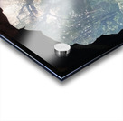 RoseHolds Acrylic print